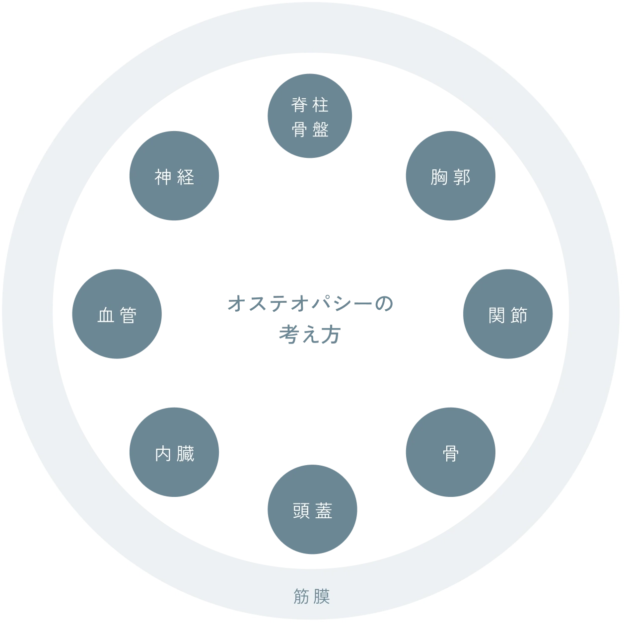 筋膜と、脊柱・骨盤・胸郭・四肢・骨・頭蓋・内臓・血管・神経の関係を示す図
